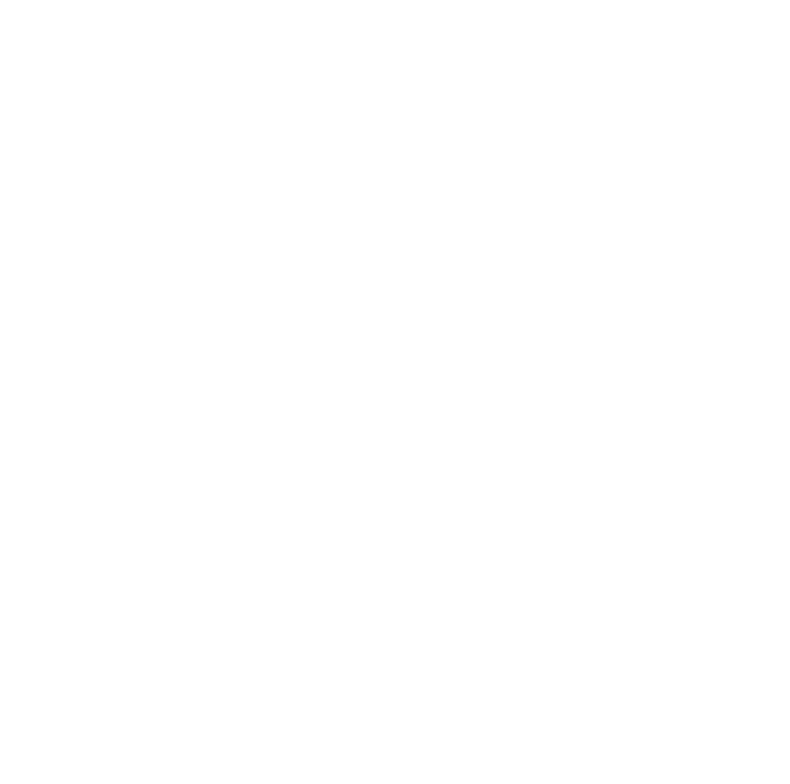 B&Z Visuals logo